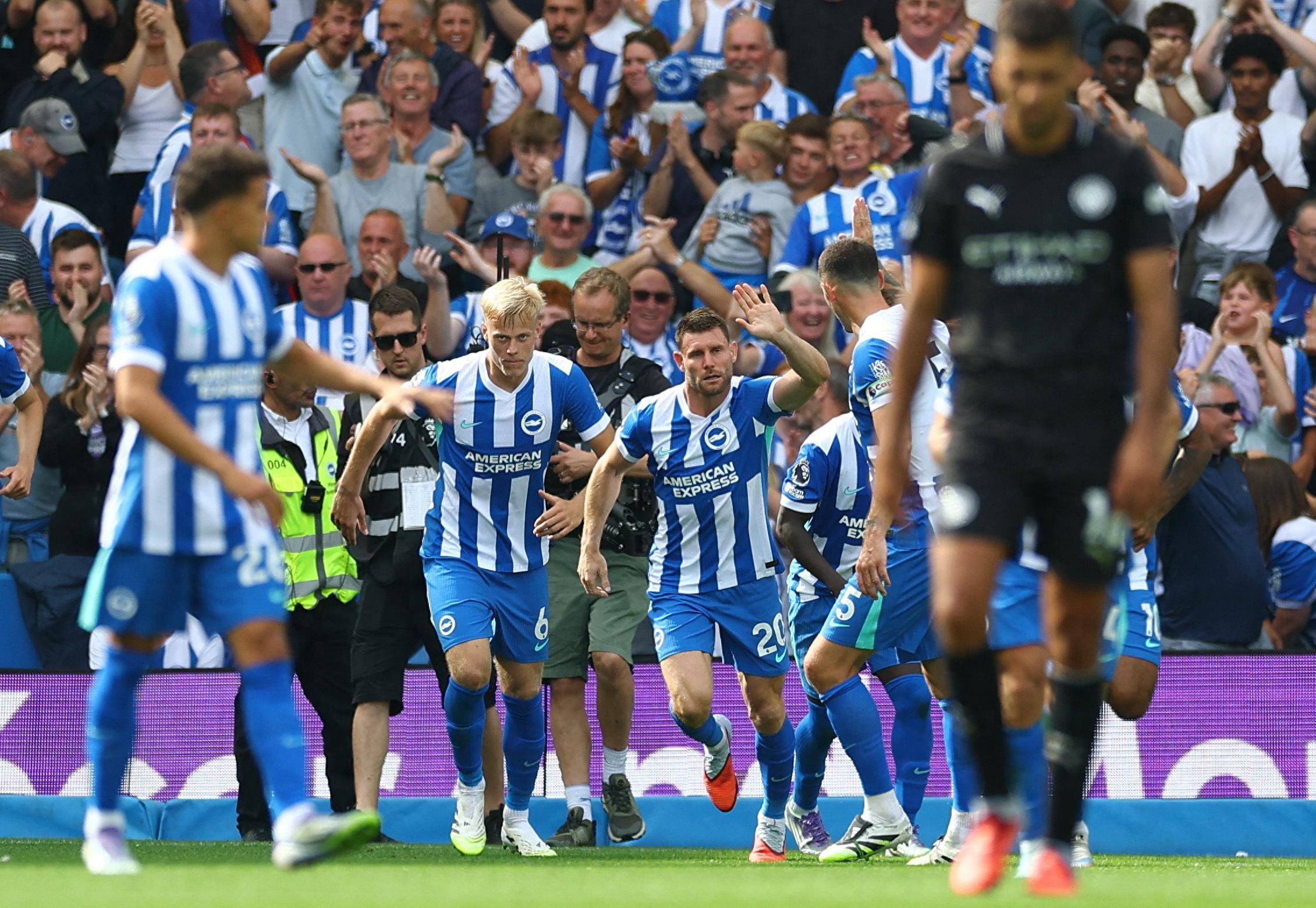 期运营作品 期运营作品